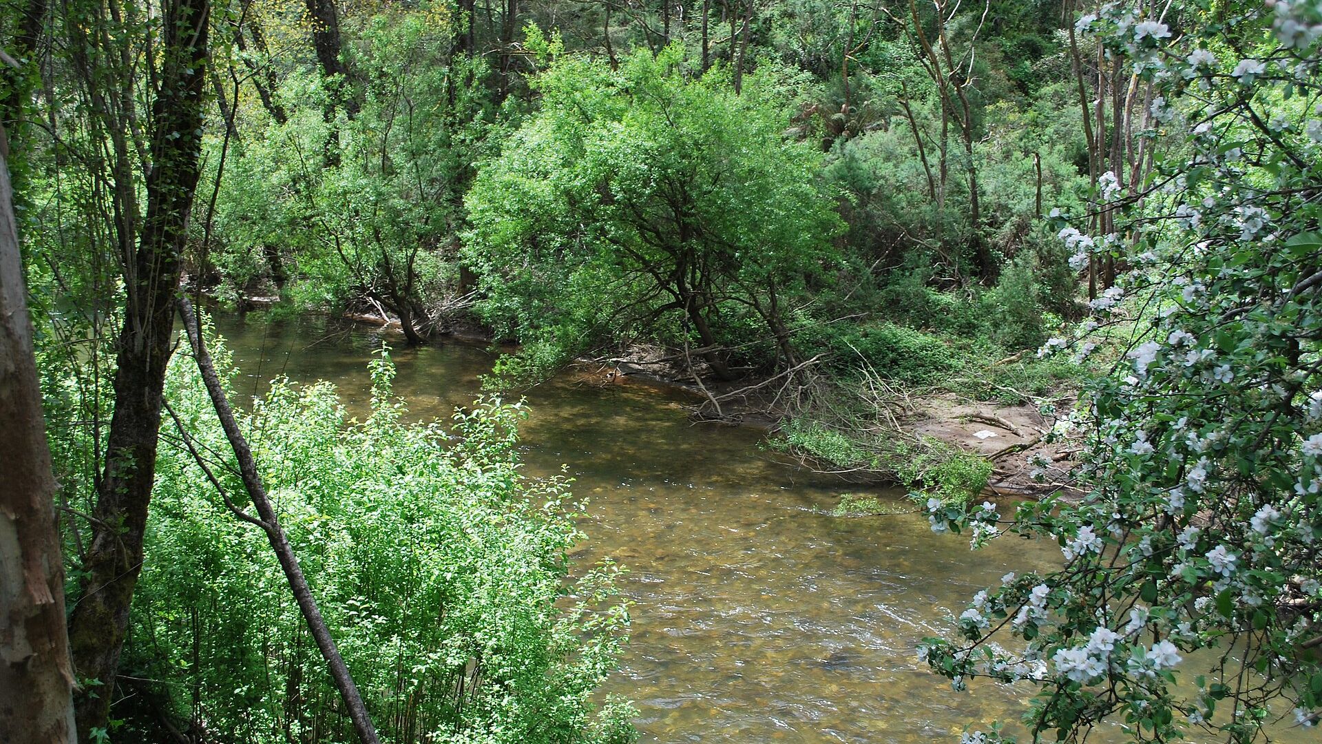 Goulburn landscape, Wikimedia Commons